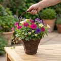 Basket with handle, rustic planting basket Ø24×H18cm | Floristik24.ie