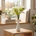 Artificial orchids artificial flowers in vase white/green 28cm | Floristik24.ie