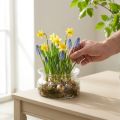 Glass bowl decorative bowl glass floating bowl Ø16cm H8cm | Floristik24.ie