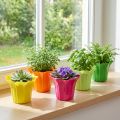 Planter for potted plants colorful assorted Ø10.5cm 10 pcs | Floristik24.ie