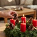 Maritima pine cones, natural, 5-10cm on a stick, 50 pieces | Floristik24.ie