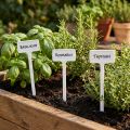 Plant label for changing 32cm 10pcs | Floristik24.ie