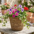 Vine planter basket Ø25cm H22.5cm natural planter | Floristik24.ie
