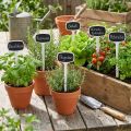 Plant Labels 29cm Black slanted 10 pcs | Floristik24.ie