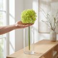 Allium green flower artificial ornamental onion Ø18cm 90cm | Floristik24.ie