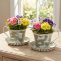 Decorative cup metal white washed antique Ø9cm H8cm 2pcs | Floristik24.ie