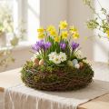 Round Decorative Bowl with Twigs, Moss, and Inner Liner – Ø20cm | Floristik24.ie