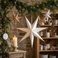 Paper star decorations for a festive atmosphere, for hanging | Floristik24.ie