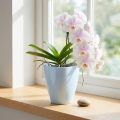 Orchid pot glossy Ø12.5cm white 1 pc | Floristik24.ie