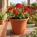 Pot “Irys” plastic terracotta Ø19cm H16cm 1 pc | Floristik24.ie