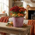 Autumn pot, plant bucket, metal decoration with leaves wine red Ø25.5cm H22cm | Floristik24.ie