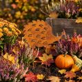 Garden stake hedgehog rust patina decorative garden stake 20cm | Floristik24.ie