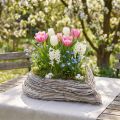 Plant heart plant bowl rattan heart white natural 28x34cm | Floristik24.ie