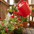 Red watering can 5l