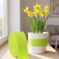 Felt Ribbon Green 7.5cm 5m | Floristik24.ie
