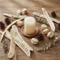 Scaletta pod bleached 25 pcs | Floristik24.ie