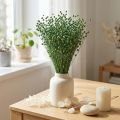 Dried Flax Grass, Green, 50-55cm, Decorative DIY | Floristik24.ie