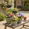 Flower basket with handle and metal sign, Ø23/20/17cm, set of 3. | Floristik24.ie