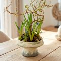 Decorative bowl ceramic with base cream grey-green Ø17cm 10cm | Floristik24.ie
