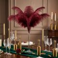 Ostrich Feathers Real Feathers Decoration Wine Red 20-25cm 12 pcs | Floristik24.ie