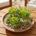 Echeveria Artificial Succulents Green Ø7cm 6 pcs | Floristik24.ie