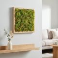 Moss artificial moss mat – perfect for moss picture light green 25×25cm | Floristik24.ie