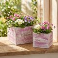 Plant drawer with handle pink white wood 12/15cm set of 2 | Floristik24.ie