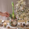 Decorative Glass Vase Lantern Glass Clear Ø18cm H20cm | Floristik24.ie