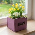 Plant drawer wooden decorative plant box purple 12.5cm | Floristik24.ie