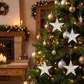 Star to hang clear with mica 9.5cm 12pcs | Floristik24.ie