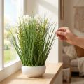Decorative grass with Cosmea flowers in a bowl H45cm | Floristik24.ie