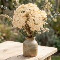 Yarrow artificial cream Achillea artificial flowers 30cm 6 pcs | Floristik24.ie