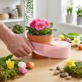 Felt ribbon pink pot ribbon wool ribbon wool felt W15cm L5m | Floristik24.ie