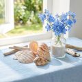 Shell decoration sea snail natural 350g × 3pcs | Floristik24.ie
