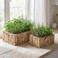 Planter wooden herb box birch L23/28cm set of 2 | Floristik24.ie