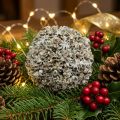 Christmas decoration Christmas ball white snowball Ø10cm | Floristik24.ie