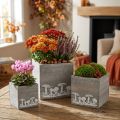 Wooden cubes with mushrooms, autumn decoration, plant box 20/16/12 cm, set of 3 | Floristik24.ie
