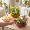 Wire basket with wooden handle. Handy design. Ideal for spring decorations, home and office. 17cm, 6 pieces. | Floristik24.ie