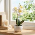 Artificial orchids in pot white mini orchids Ø7cm H22cm | Floristik24.ie