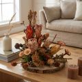 Dried Exotic Protea Cones Bellgum 24–48cm 580g - Artificial Flower Decoration South Africa | Floristik24.ie