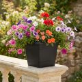 Pot “Nora” 23cm x 23cm H18.5cm anthracite 1 pc | Floristik24.ie