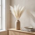 Dried flowers, silver grass. Elegant natural decoration for home and office. 70cm, 10 pieces. | Floristik24.ie