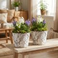 Decorative pot birch whitened plant pot Ø18cm H15cm 2pcs | Floristik24.ie