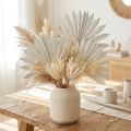 Palmspear Sun mini whitewashed 50 pcs | Floristik24.ie