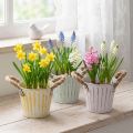 Planting bucket, metal pot with handles, decorative planter, pink/green/yellow, shabby chic, Ø12cm, H10cm, set of 3 | Floristik24.ie
