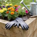Gardening Gloves Size 8 EN 2121X Grey Black Blue Nylon | Floristik24.ie