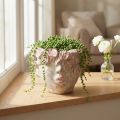 Plant head flower pot for hanging concrete look pink H13cm | Floristik24.ie