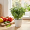 Mint artificial green 25cm 12 pcs | Floristik24.ie