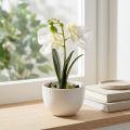 Mini orchids artificial white orchids in a pot 15cm | Floristik24.ie