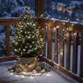 LED rice light chain 80s 6m for outside black/white | Floristik24.ie